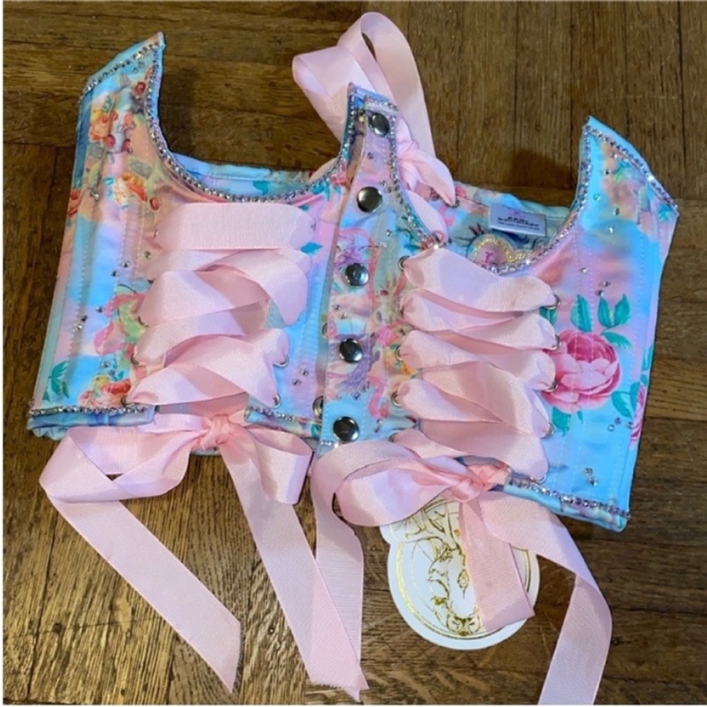 Jackalope land mimpi corset